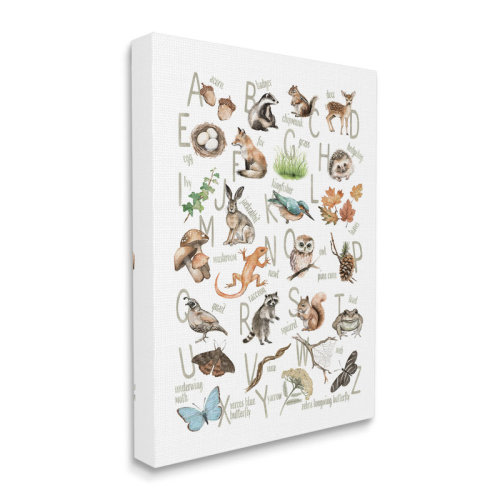 Millwood Pines " Woodland Nature Alphabet " by Ziwei Li on Canvas | Wayfair