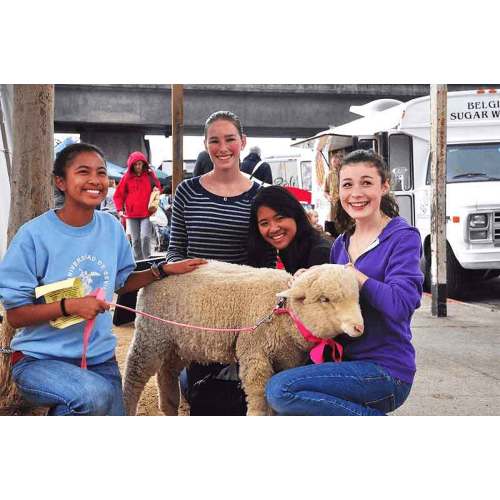 100% Organic Cotton Baby Swaddles