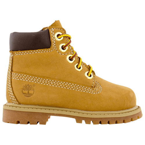 Buy Timberland 6 Inch Premium Boot Toddler 'Wheat' - TB012809 713 | GOAT