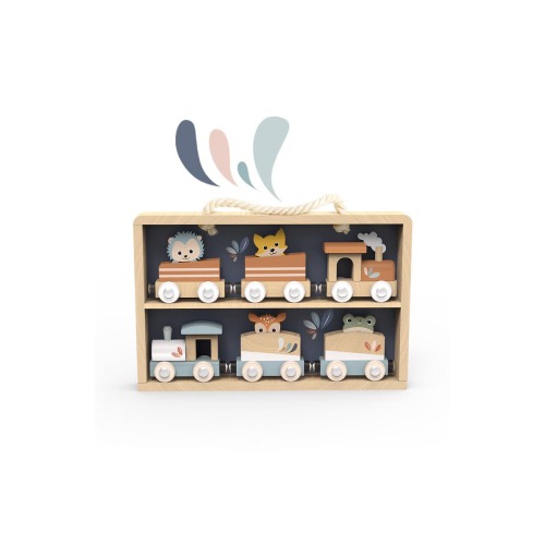 Train Set Display Case