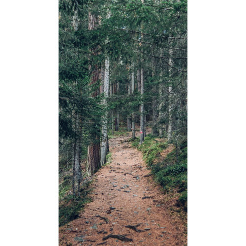 TOOL BOX SET | RootedPinesHomestead