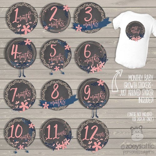Baby monthly milestone stickers - adorable pink flowers