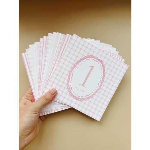 READY TO SHIP Watercolor Baby Girl Monthly Milestone Cards | Pink Grandmillennial Design