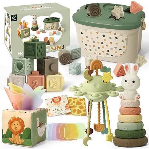 Baby Toys 6 to 12 Months, Montessori Toys for 6-9-18 Months with Shape Sorter Developmental Toys, Silicone Blocks Learning Toys, Tissu Sensory Toys for 6-36 Months Girls Boys Birthday