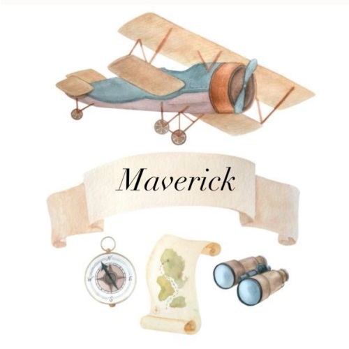 Mavericks future!