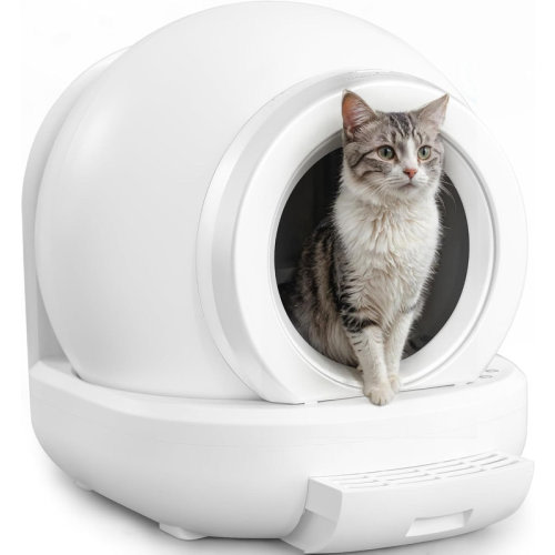 Tucker Murphy Pet™ Automatic Self-Cleaning Cat Litter Box with APP Control & Safety Protection - Odor Removal for Multi-Cat Homes & Reviews | Wayfair