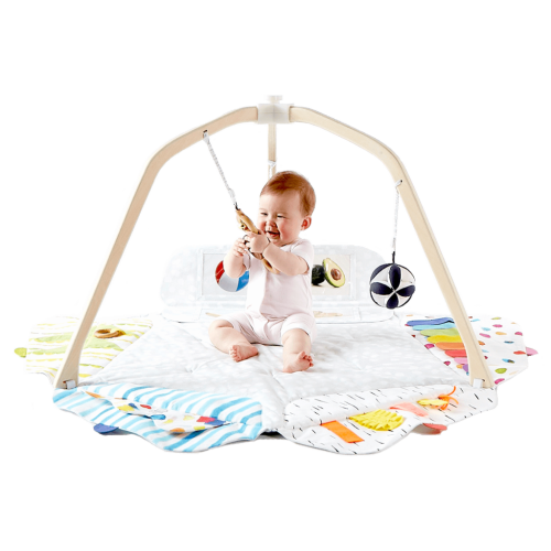 The Play Gym | A Baby Activity Playmat by Lovevery