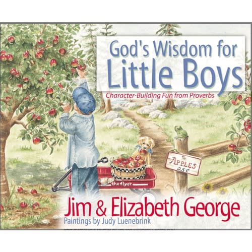 God's Wisdom for Boys