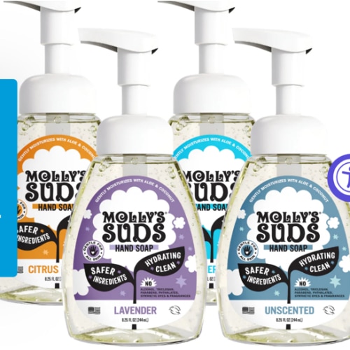 Foaming Hand Soap – Molly’s Suds