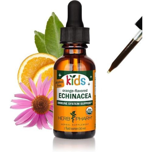 Herb Pharm Kids Echinacea Extract Alcohol-Free Certified Organic Liquid Herbal Supplement for Kids, Immune Support Drops for Toddlers & Children, Non-GMO, Vegan, Echinacea Purpurea Root, 1 fl oz