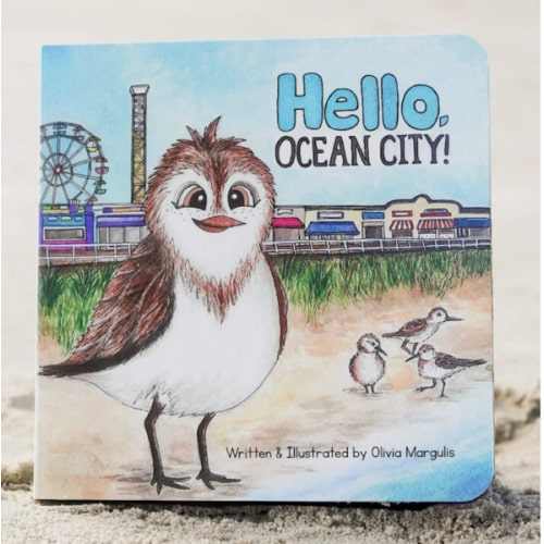 Hello, Ocean City! (0-3 Years) – Bowfish Kids
