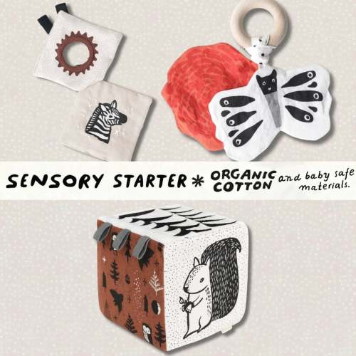 Sensory Starter Bundle