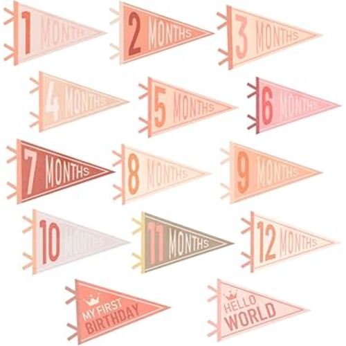 14 Pcs Baby Monthly Stage, Babys Felt Pennant Stage Signs Monthly, Felt Pennant Flags for Girl & Boy, Month Signs for Newborn Photos and First Year Birthday Baby Shower Decor