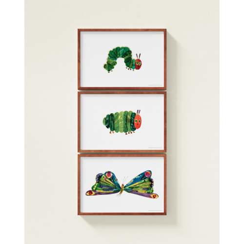 A Beautiful Butterfly! Framed Wall Art Set | Eric Carle x Nestig