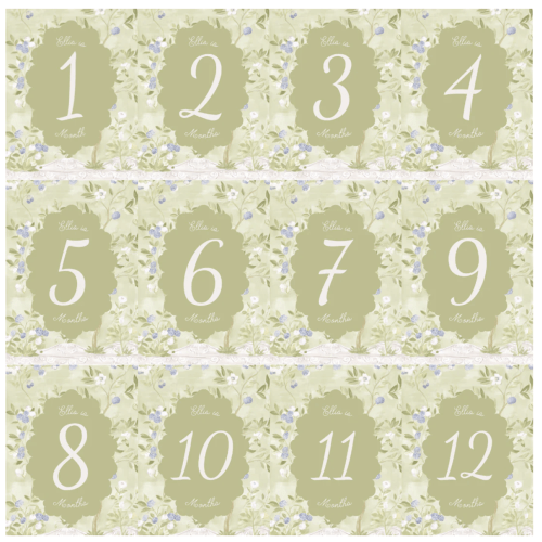Green Chinoiserie Custom Milestone Markers