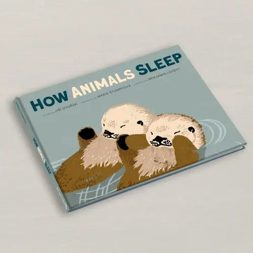 How Animals Sleep — Red Comet Press