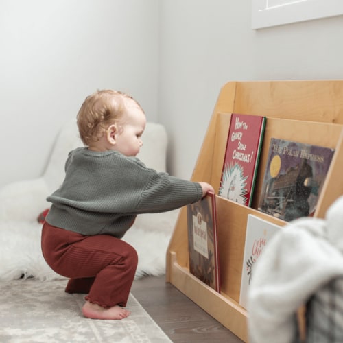Lexico Book Display Shelf