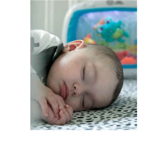Baby Einstein Sea Dreams Soother Sleep Soother