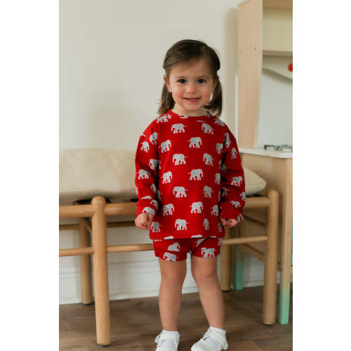 Elephant Bamboo Sweatshirt Set - Top & Bottom