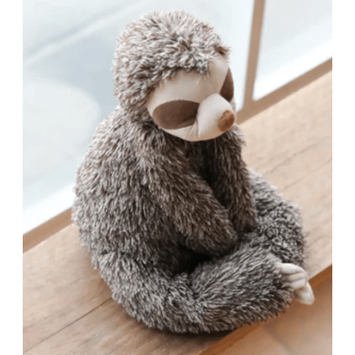 Sunny the sloth