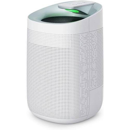 1000ml Dehumidifier w/Air Purifying Function, True HEPA Filter, Auto Shut off, Ultra-Quiet, Ideal for RV Closets Bathrooms Q9 1 Filter