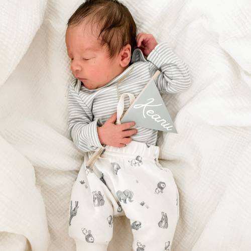 Personalized Birth Announcement, Baby Arrival Pennant, Baby Name Sign, Name Announcement, Name Paper Flag, Hospital Sign, Name Pennant Flag