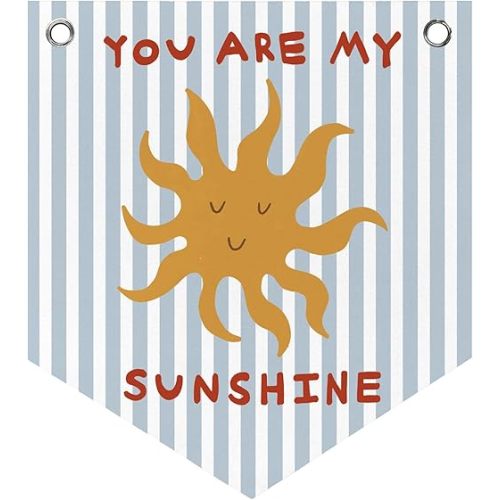 DSHFG Kids Playroom Wall Art Felt Pennant Banner, You Are My Sunshine Nursery Toddler Room Bedroom Decor, Classroom Decorations Wall Hanging Banner Pennant, 12x14 Inch