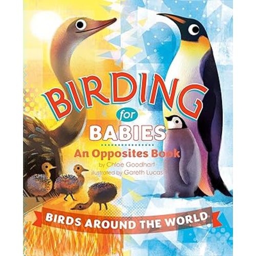 Birding for Babies: Birds Around the World: An Opposites Book
