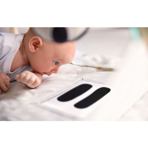 The Tummy Time Course Pack | Lovevery Course Packs