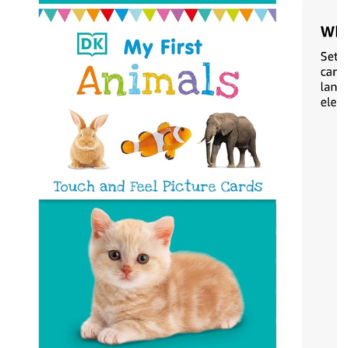 My First Touch and Feel Picture Cards: Animals (My First Board Books)