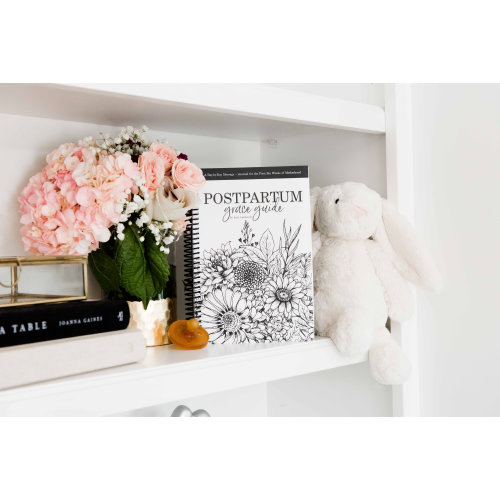 Postpartum Grace Guide: A Day-by-Day Message and Inspirational Journal for New Moms