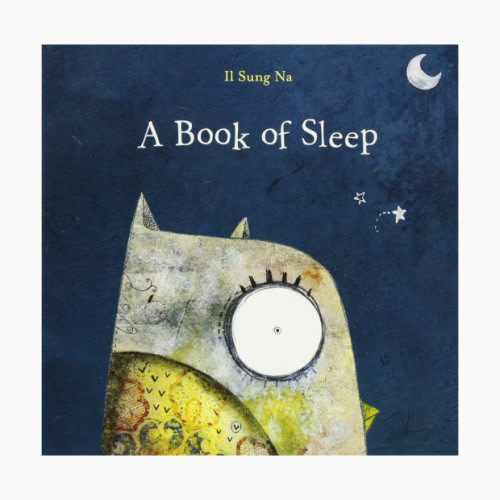 A Book of Sleep