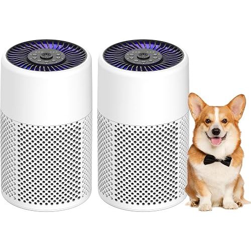 2 Pack Air Purifiers for Bedroom Home, True HEPA Filter for Smoke, White