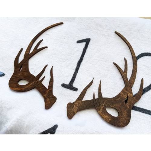 Woodland Antler Milestone Marker: Baby Photo Prop