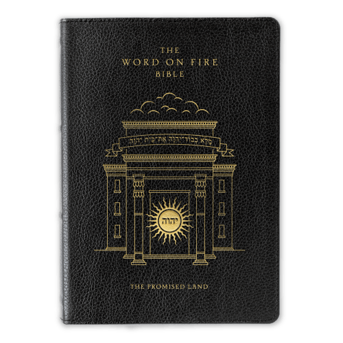 The Word on Fire Bible (Volume IV): The Promised Land