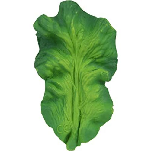 Oli & Carol, Kendall The Kale, Chewable Vegetable-Shaped Teething Toy for Baby, Natural Hevea Rubber