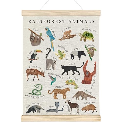 Nrleey Rainforest Animals Wall Art - Educational Poster Hanger Frame, Nursery Decor, 12x16 Inches