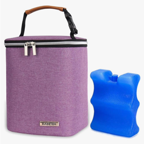 Breast Milk Cooler Bag with Ice Pack Fits 4 Baby Bottles Up to 9 Ounce, Baby Bottle Bag Great for Nursing Mom Daycare, Purple