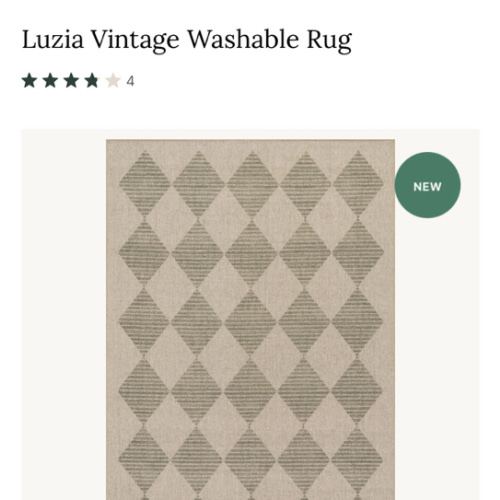 Luzia Vintage Washable Rug | Green – Rugs USA