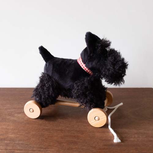 Pull Along Walter the Terrier Puppy
