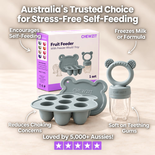 Chewzit™ Baby Silicone Fruit Food Feeder