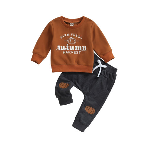 Wassery Toddler Baby Boys Halloween Clothes Long Sleeve Pumpkin Print Sweatshirt Top Long Pants 6M 12M 18M 24M 3T Infant 2Pcs Fall Tracksuit Outfit 0-3 Years