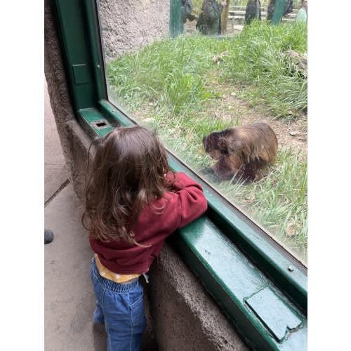 Annual Zoo Membership