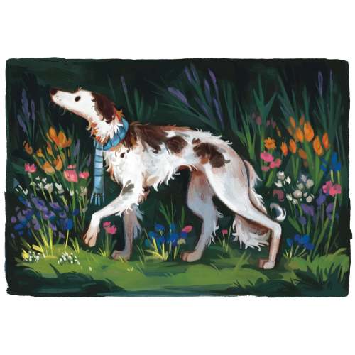 Scarf Puppy Borzoi - 10 x 7 Print