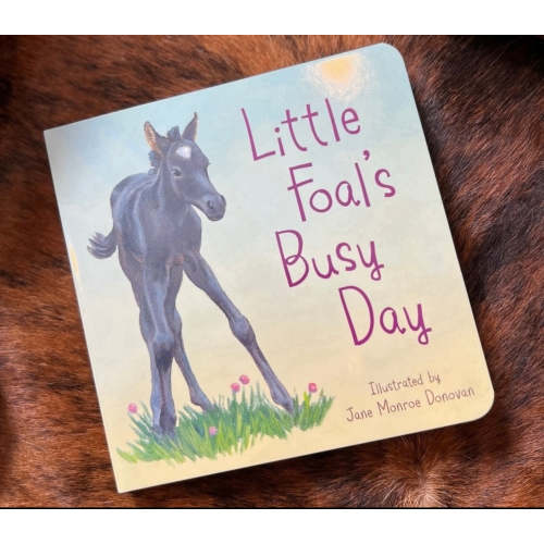 Little foals busy day kids book