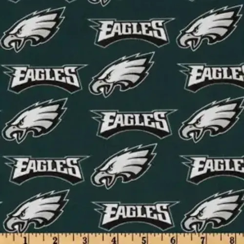 baby crib sheets eagles - Google Search