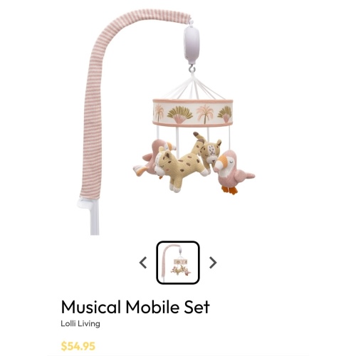 Musical Mobile Set