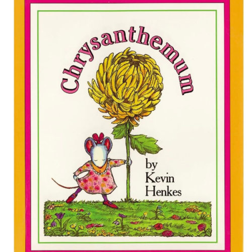 Chrysanthemum