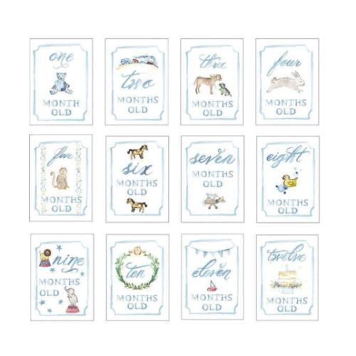 Month by Month Baby Cards in pink