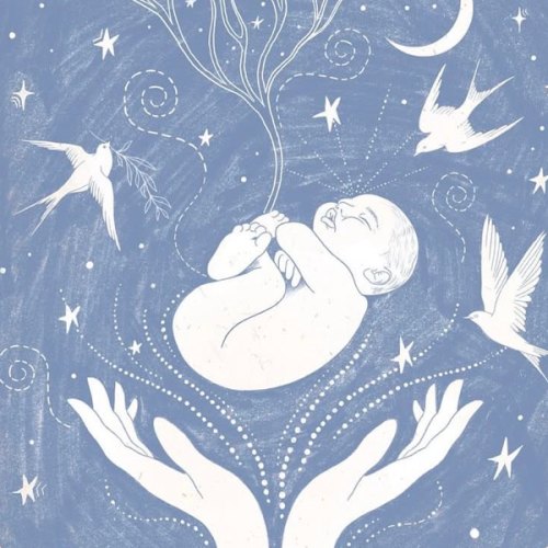 Midwife Costs